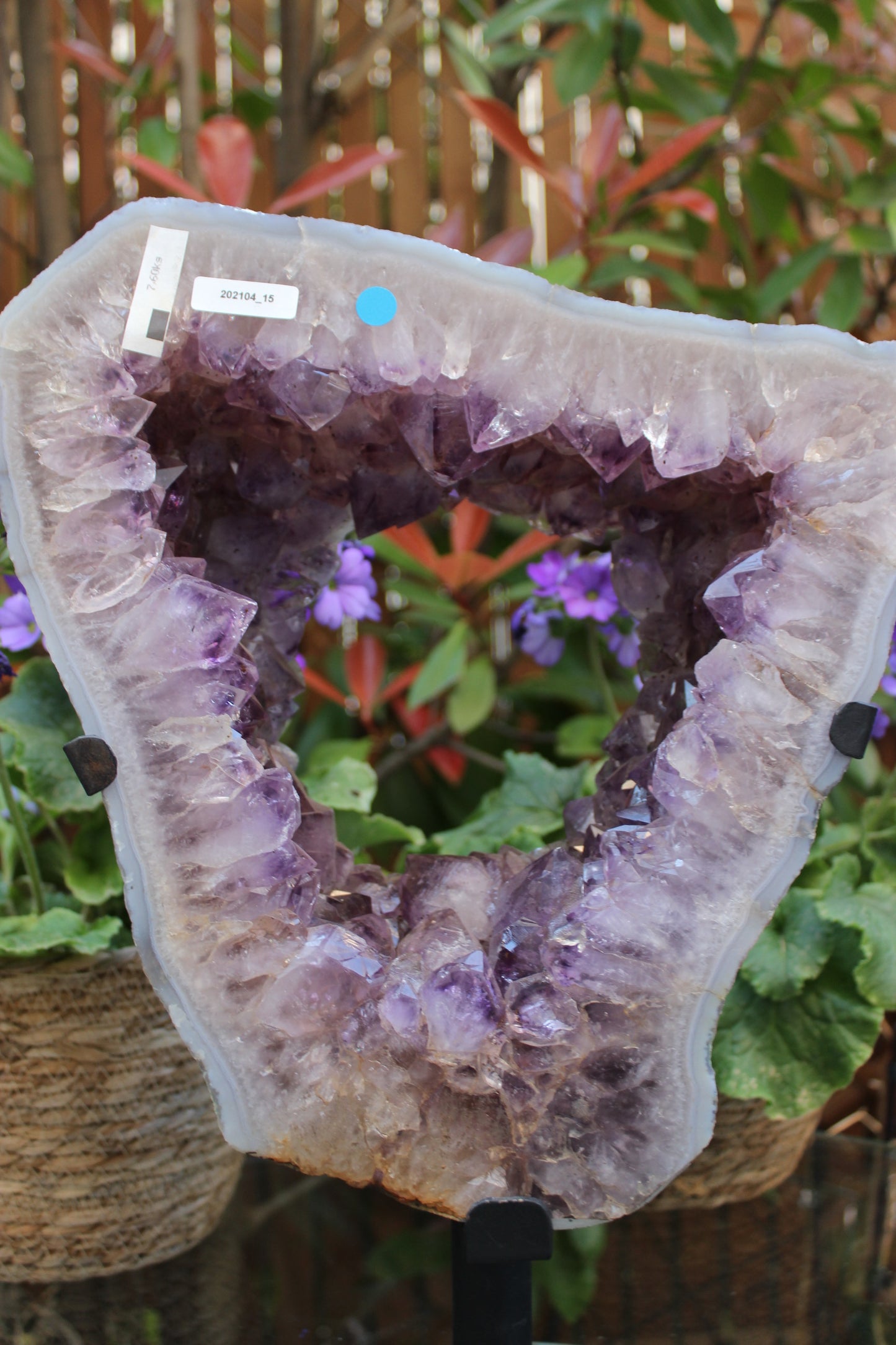 7.8kg Amethyst Portal