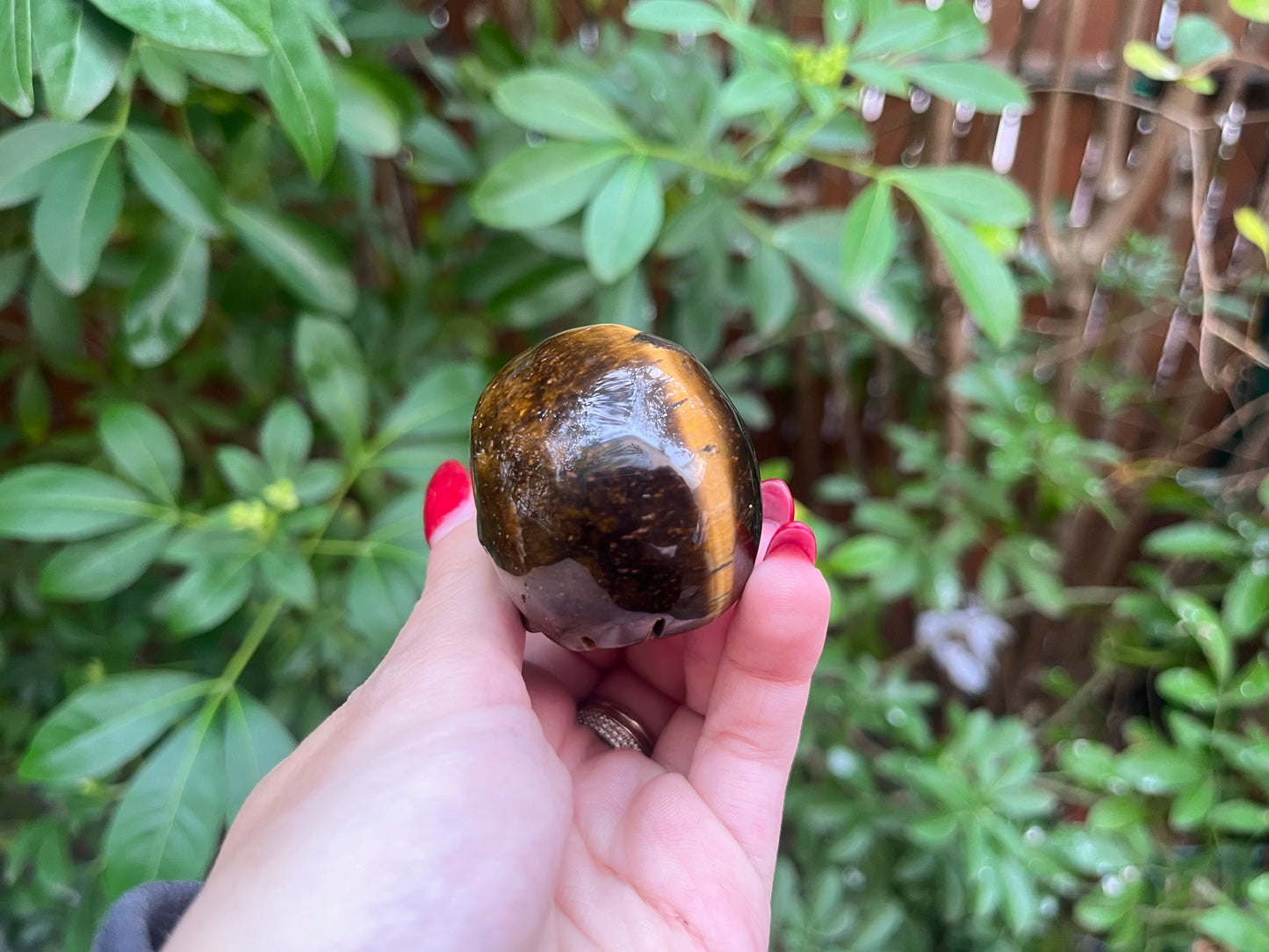 Tiger's Eye Skull Carving