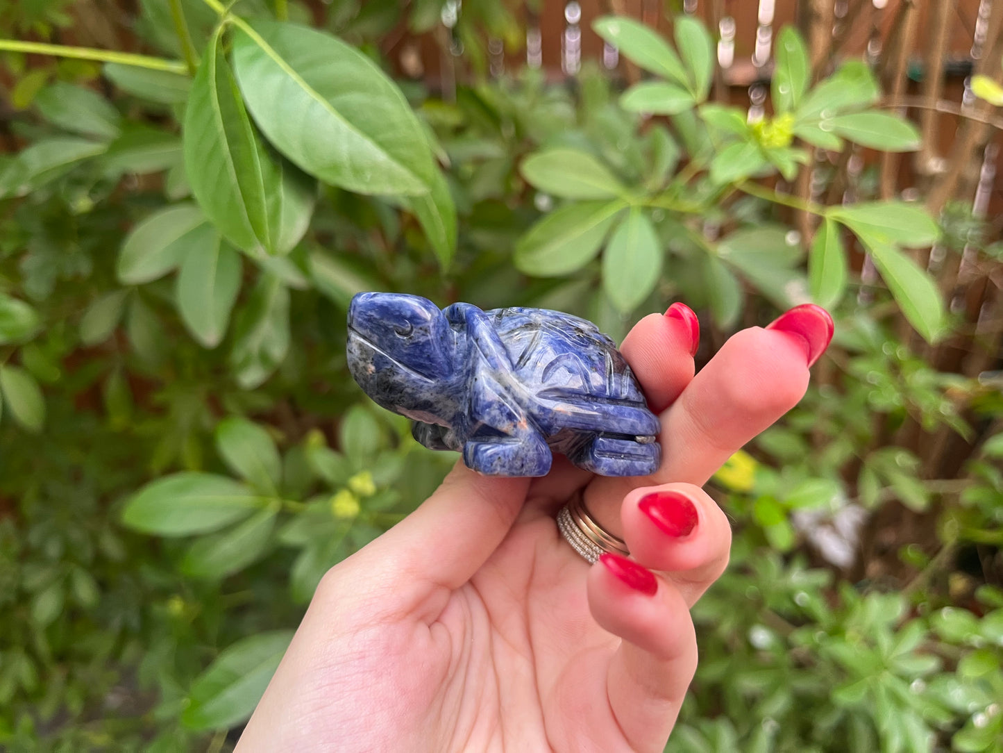 Sodalite Turtle Carving