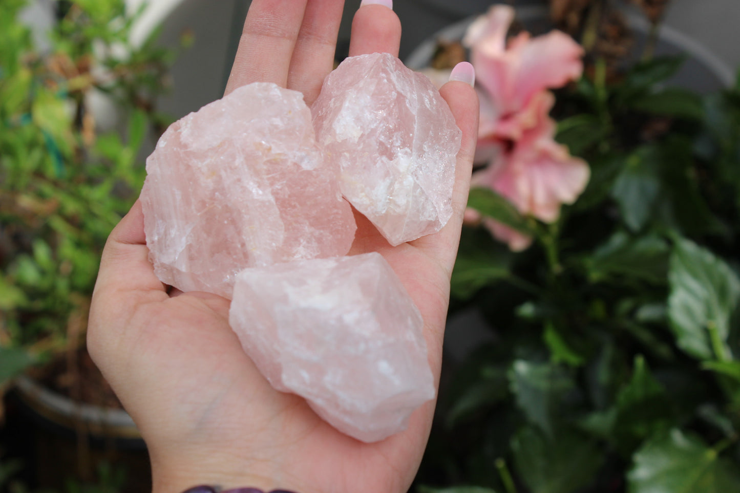 Raw Rose Quartz