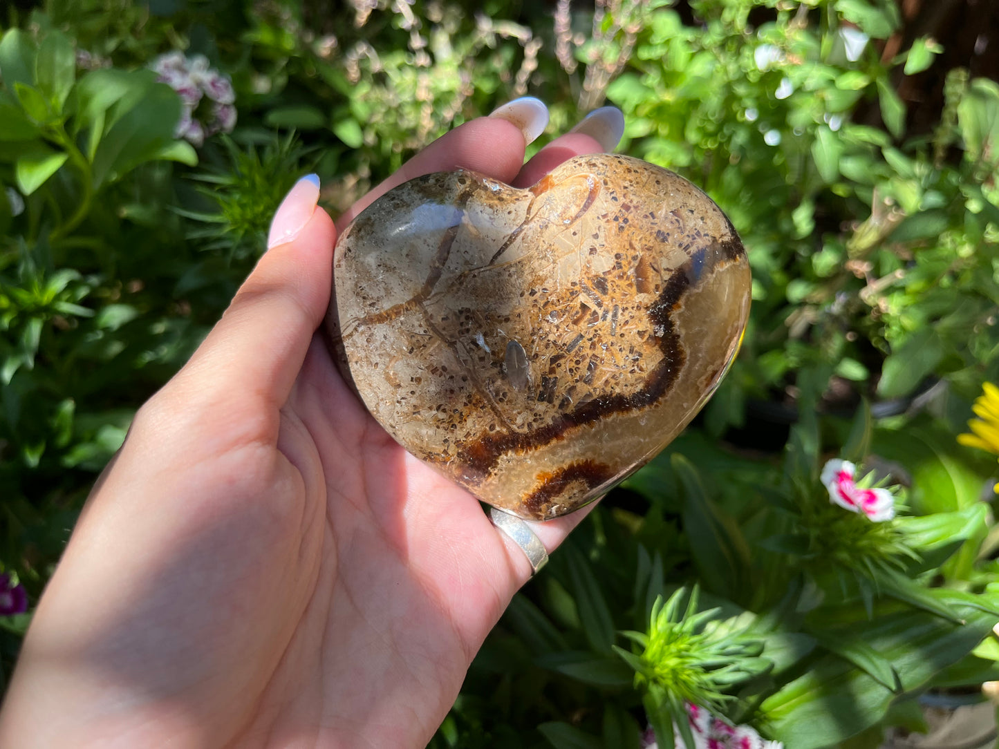 Septaria Heart Carving