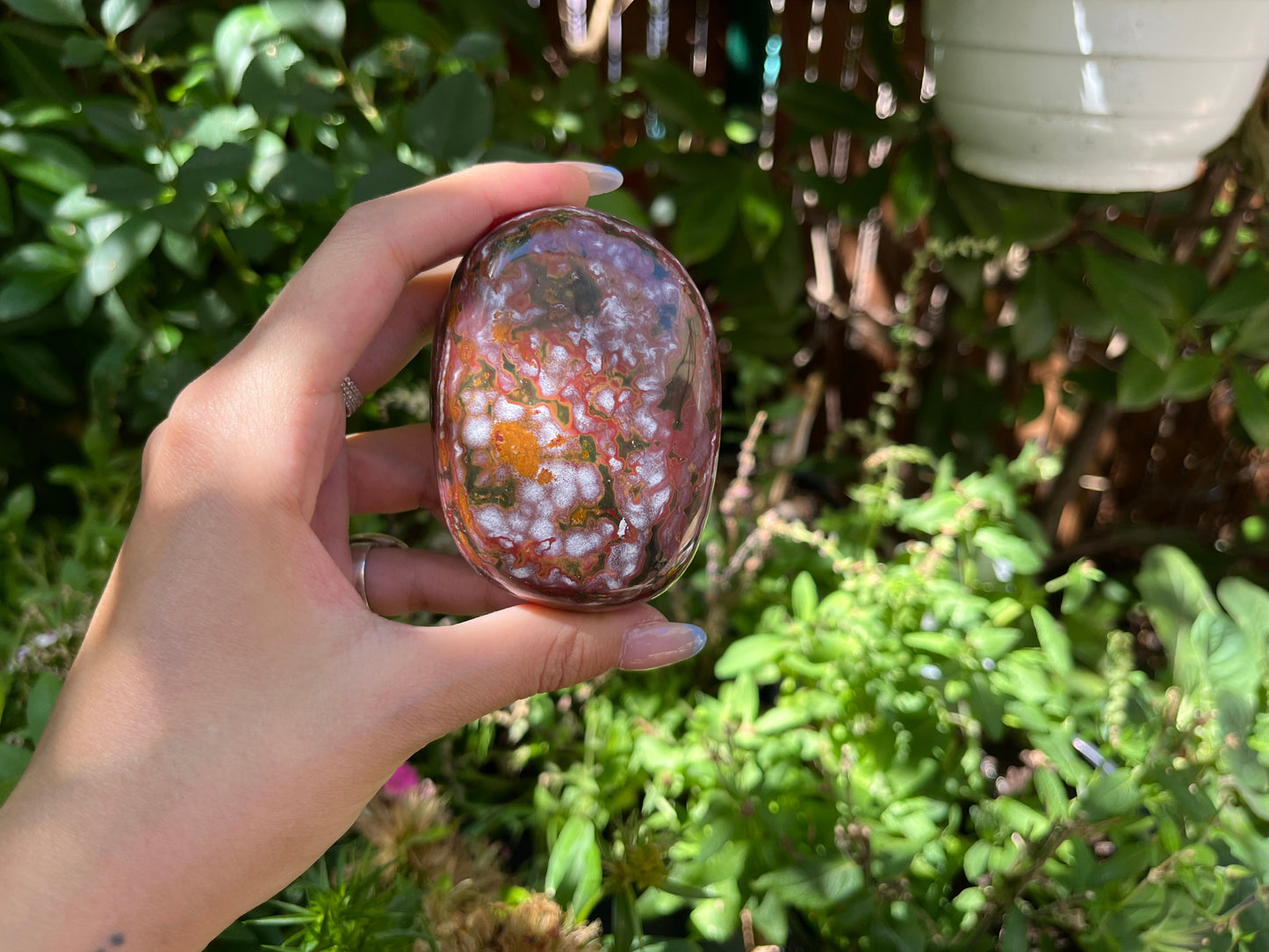 Polished Red Ocean Jasper