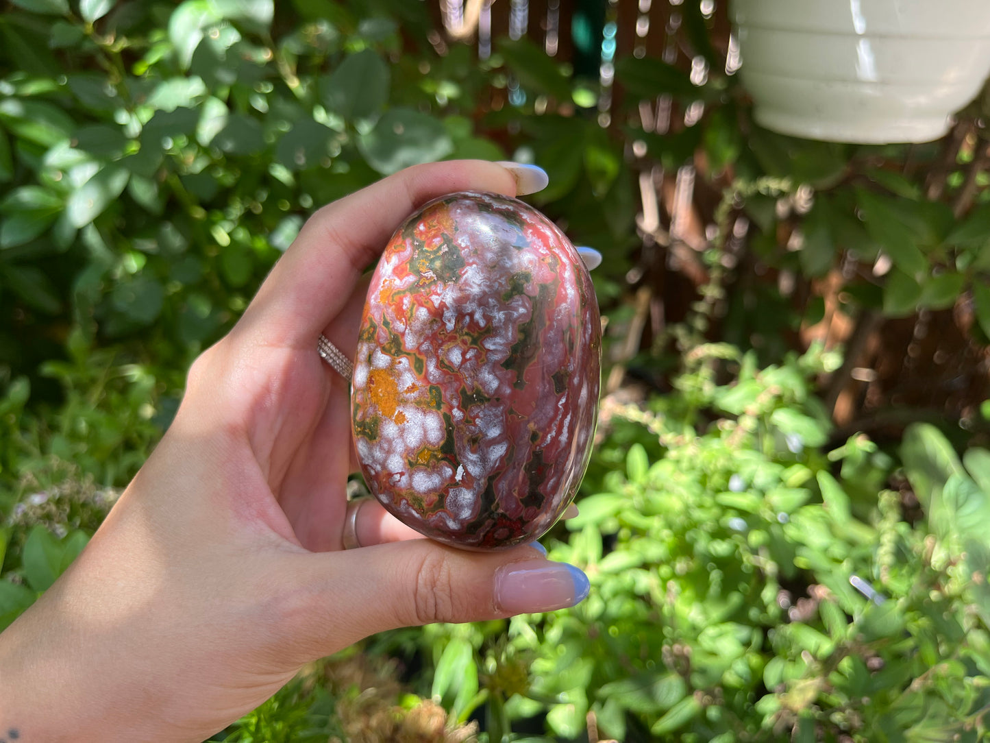 Polished Red Ocean Jasper