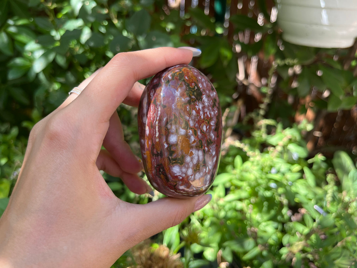 Polished Red Ocean Jasper