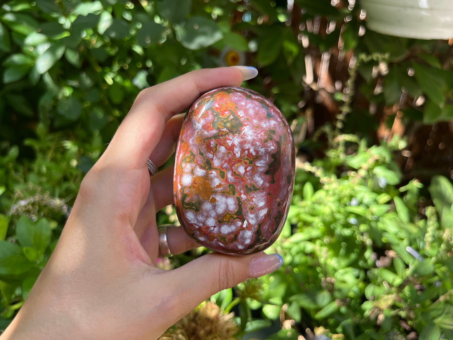 Polished Red Ocean Jasper
