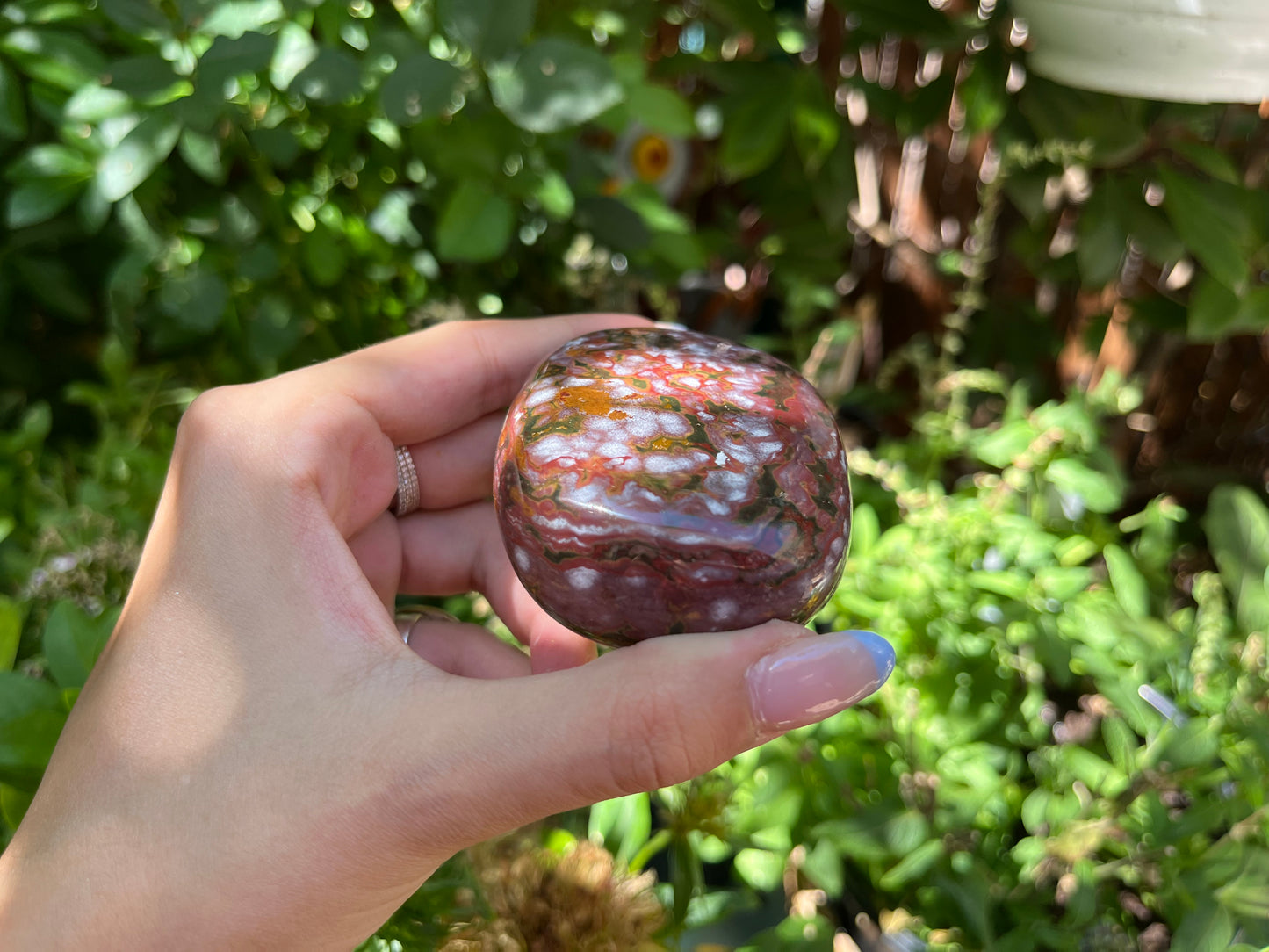 Polished Red Ocean Jasper