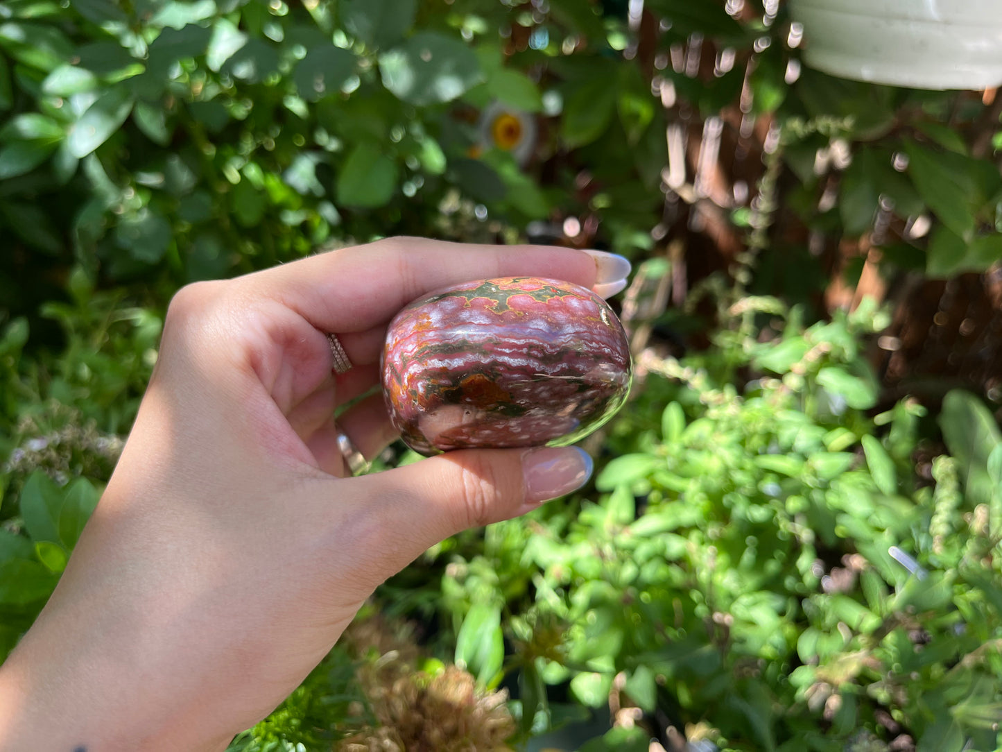 Polished Red Ocean Jasper