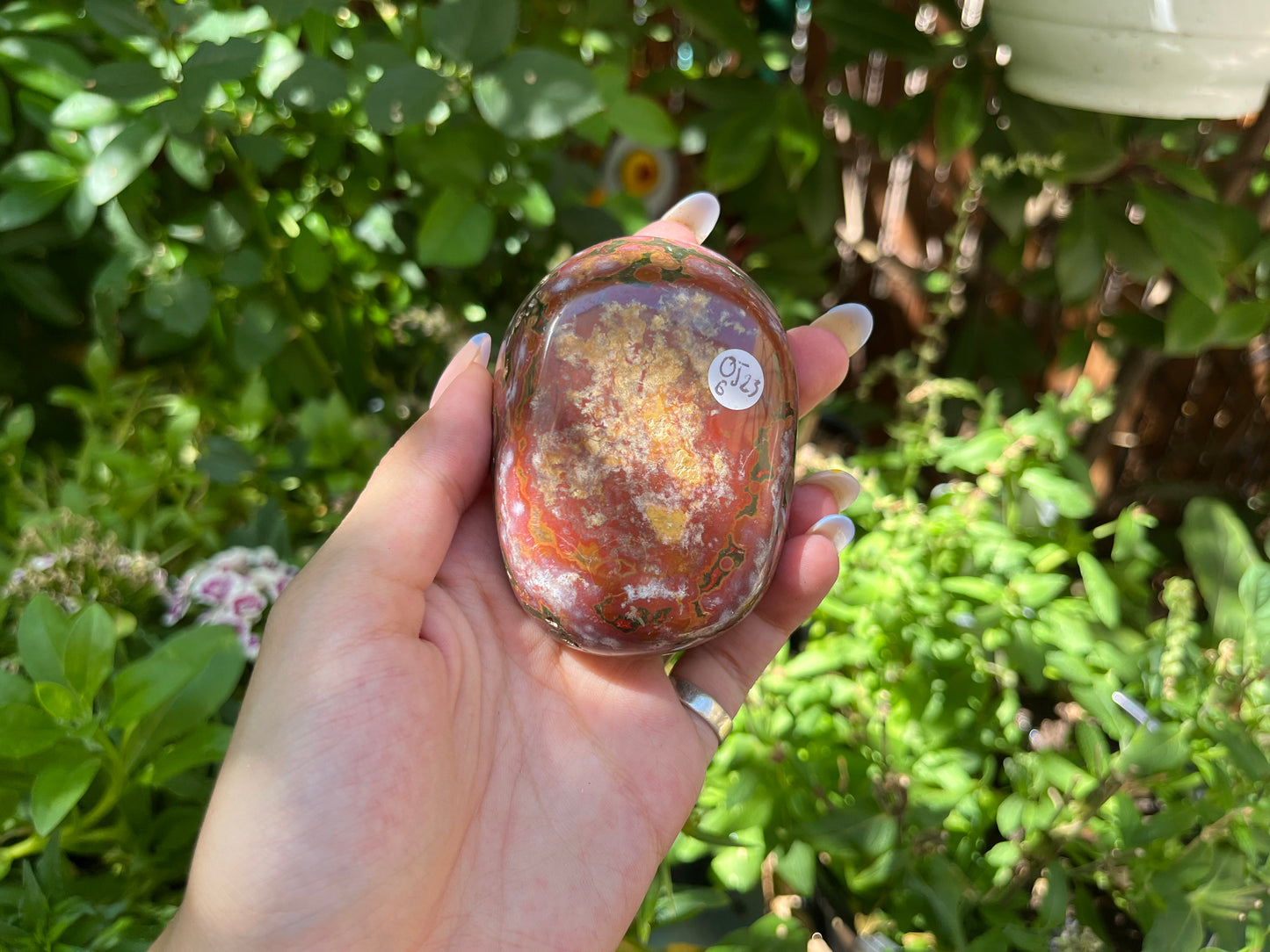 Polished Red Ocean Jasper