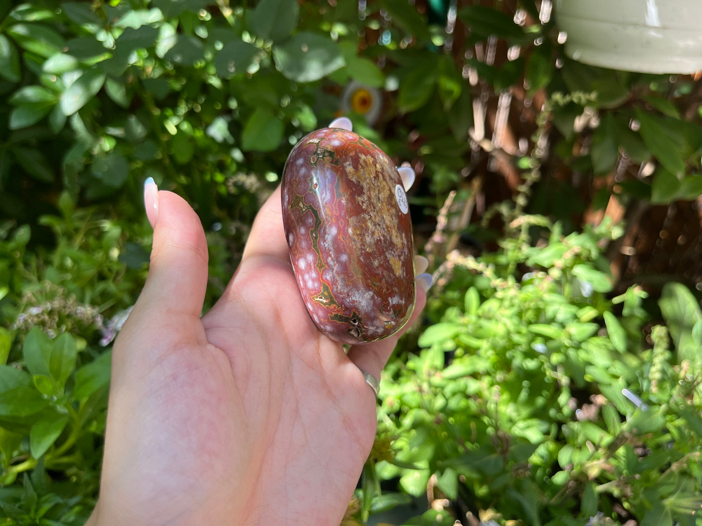 Polished Red Ocean Jasper