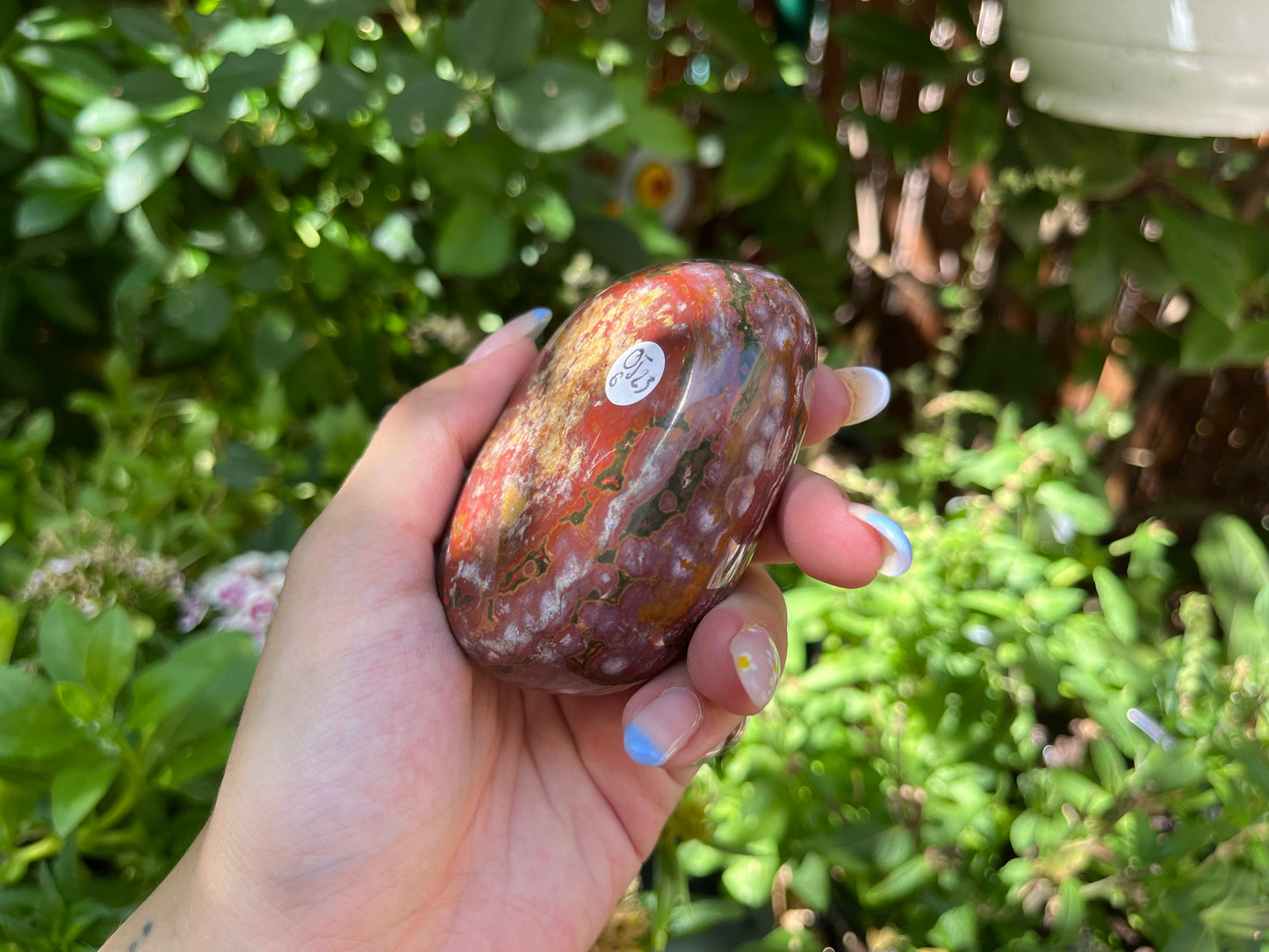 Polished Red Ocean Jasper