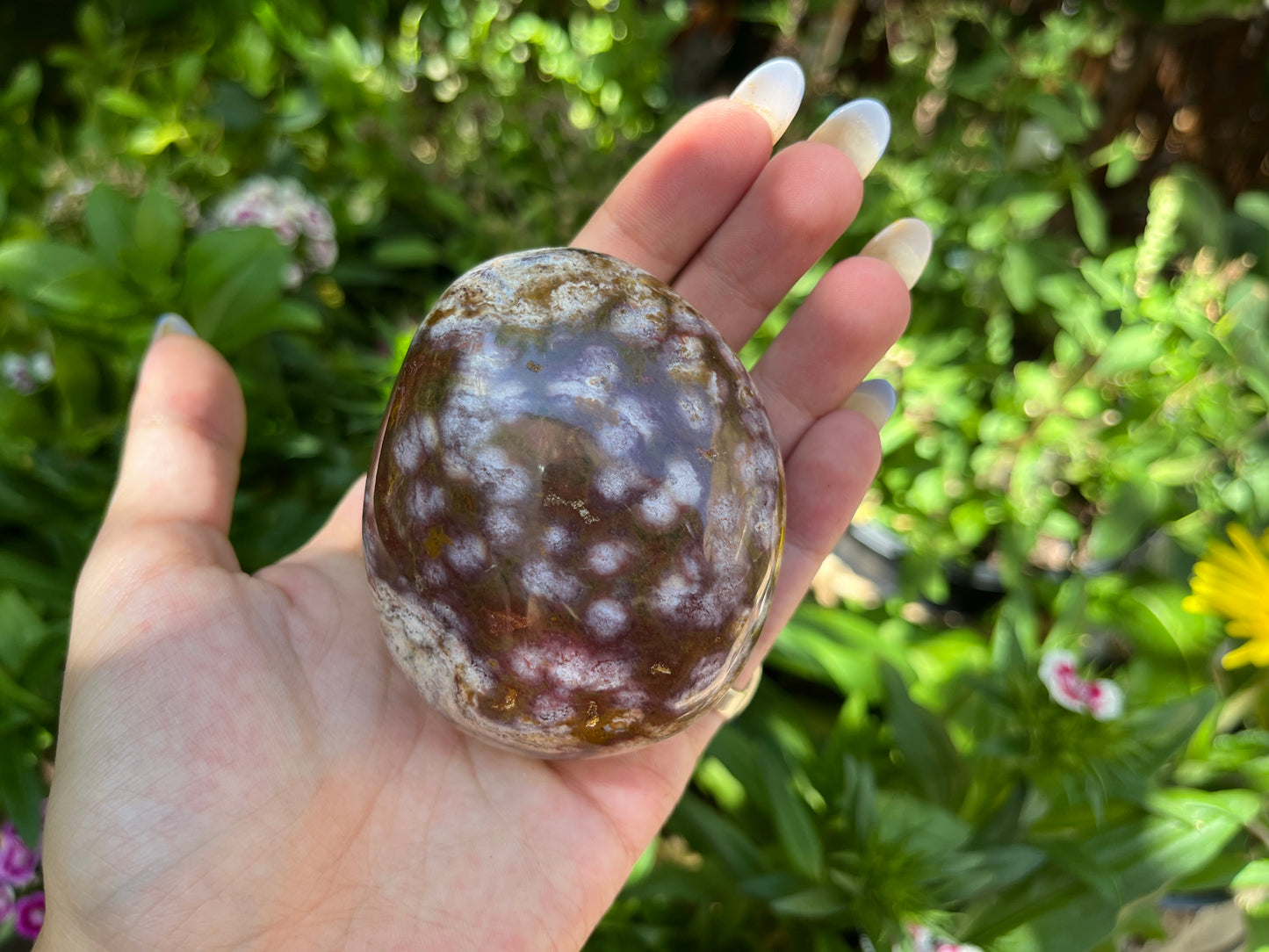 Polished Red Ocean Jasper