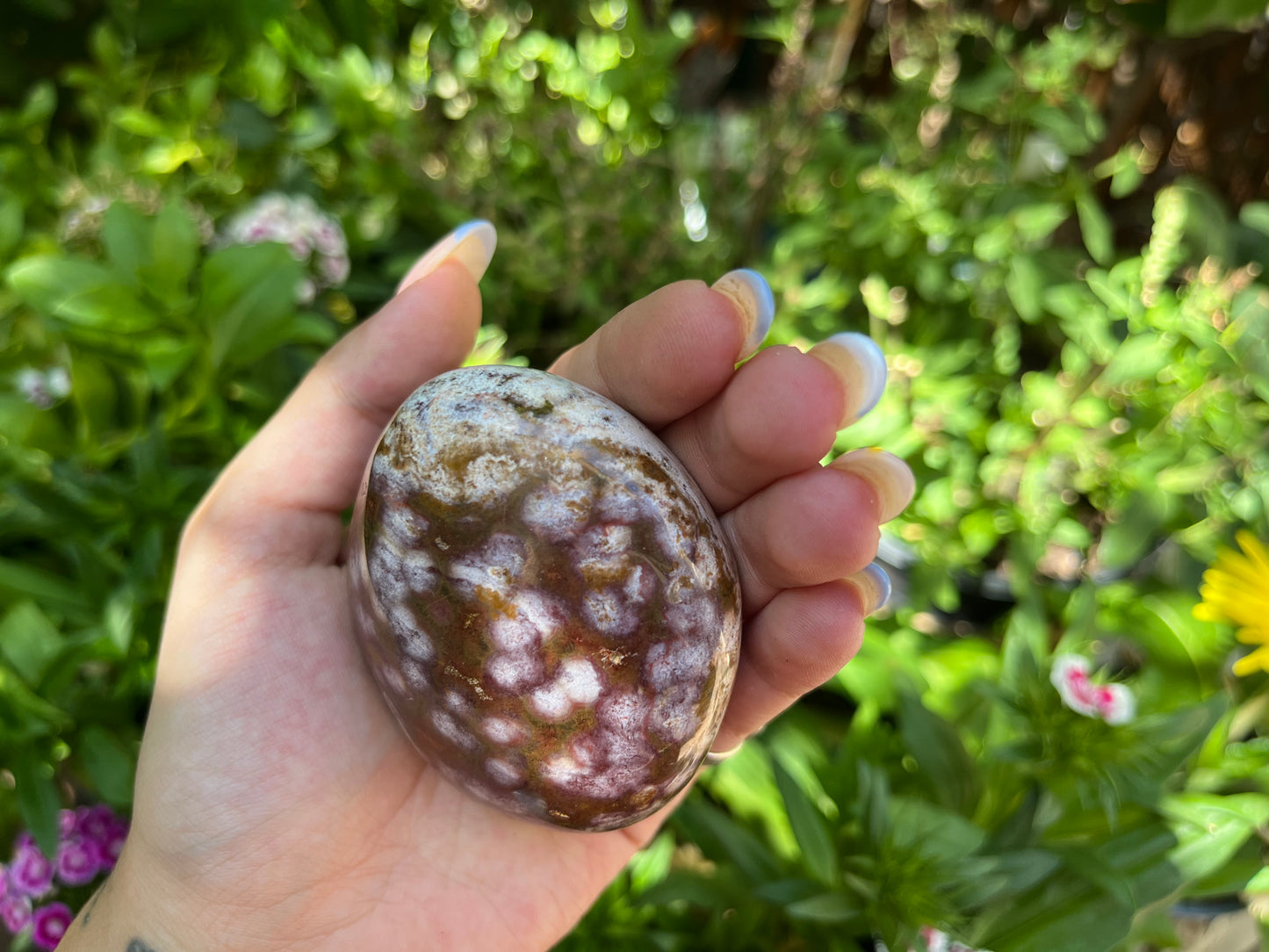 Polished Red Ocean Jasper