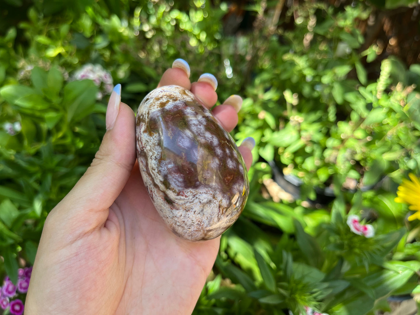 Polished Red Ocean Jasper