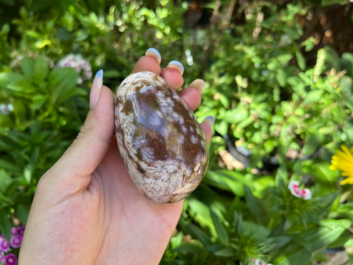 Polished Red Ocean Jasper