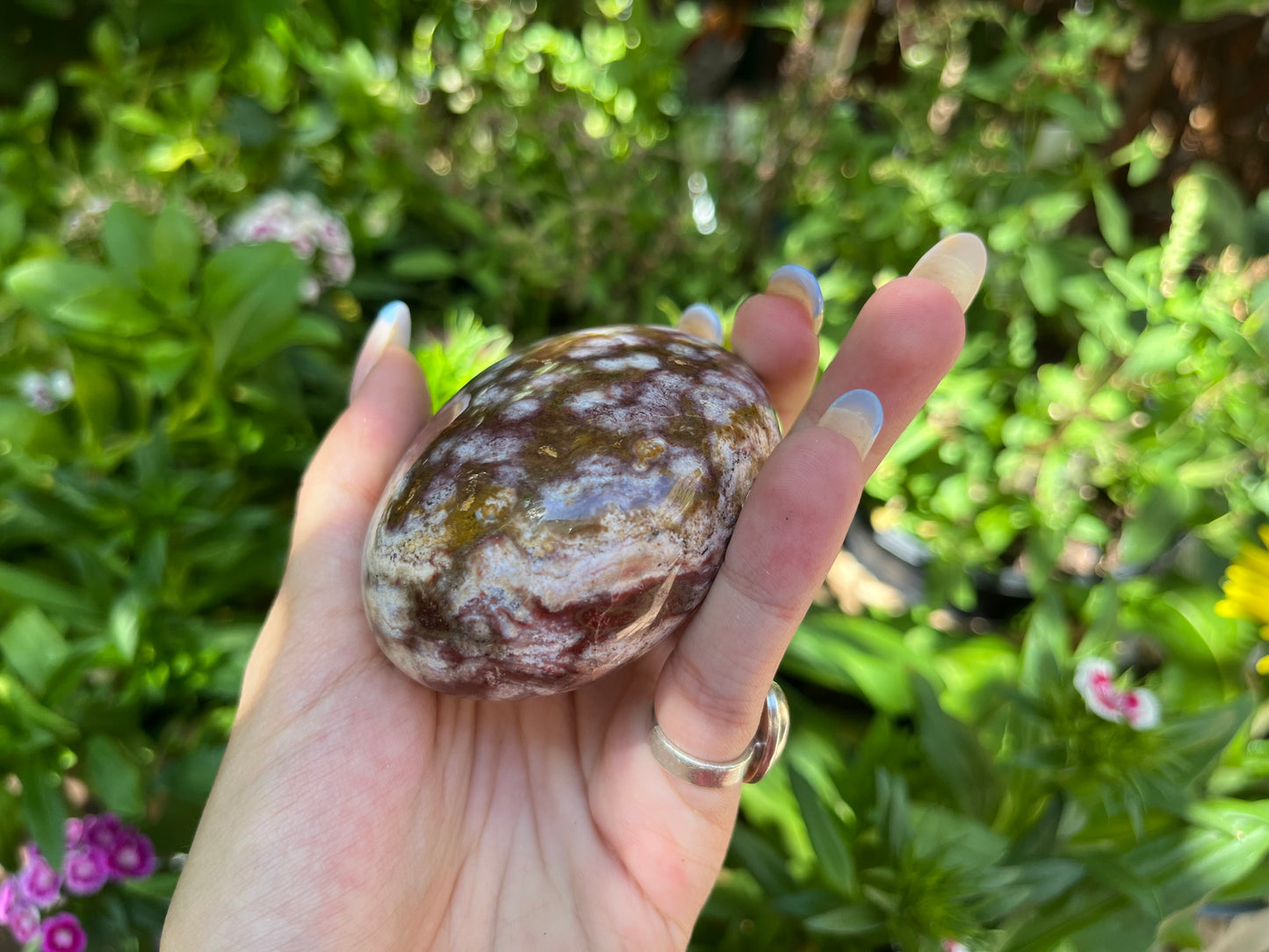 Polished Red Ocean Jasper