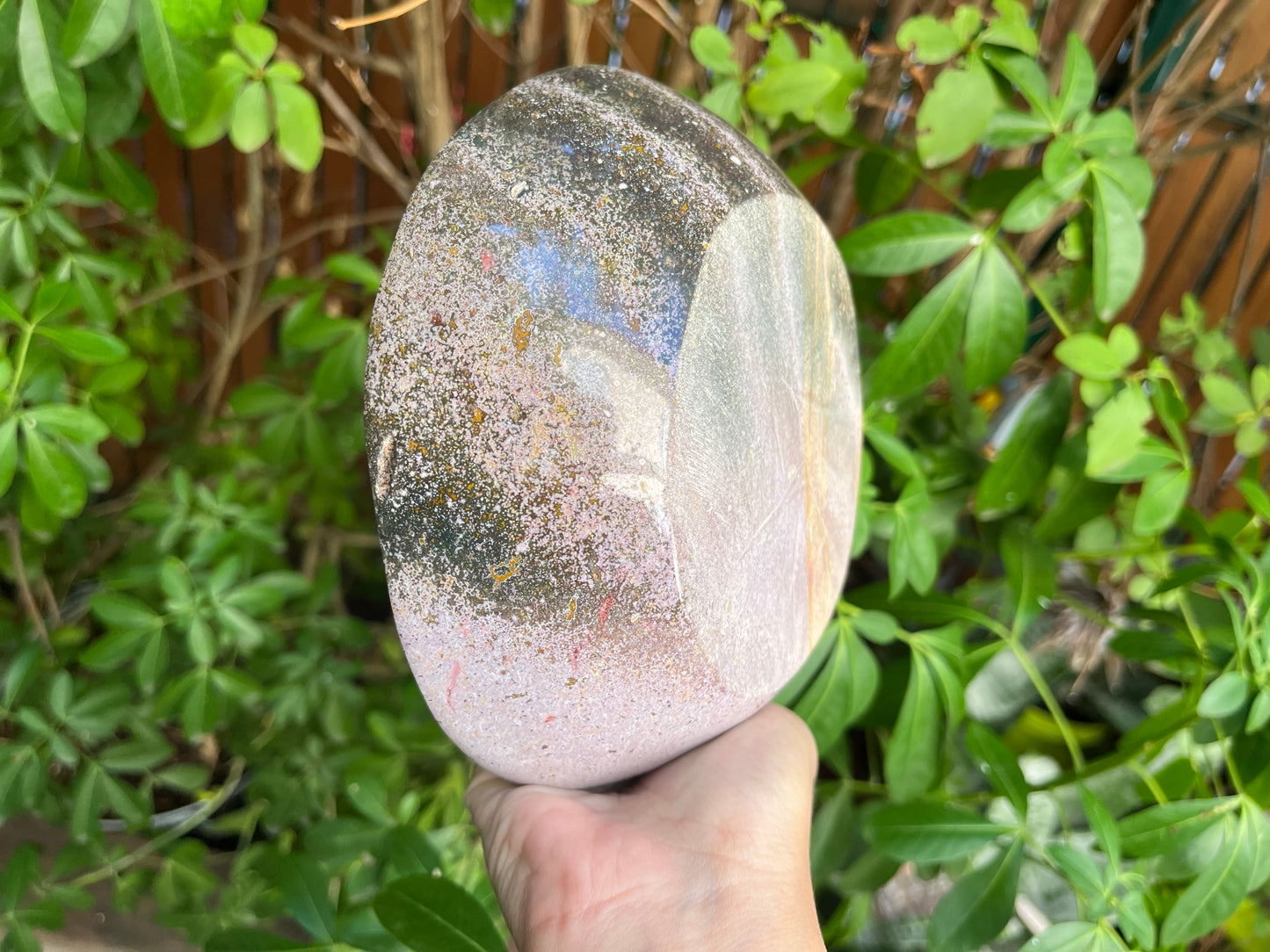 AAA Ocean Jasper Bowl