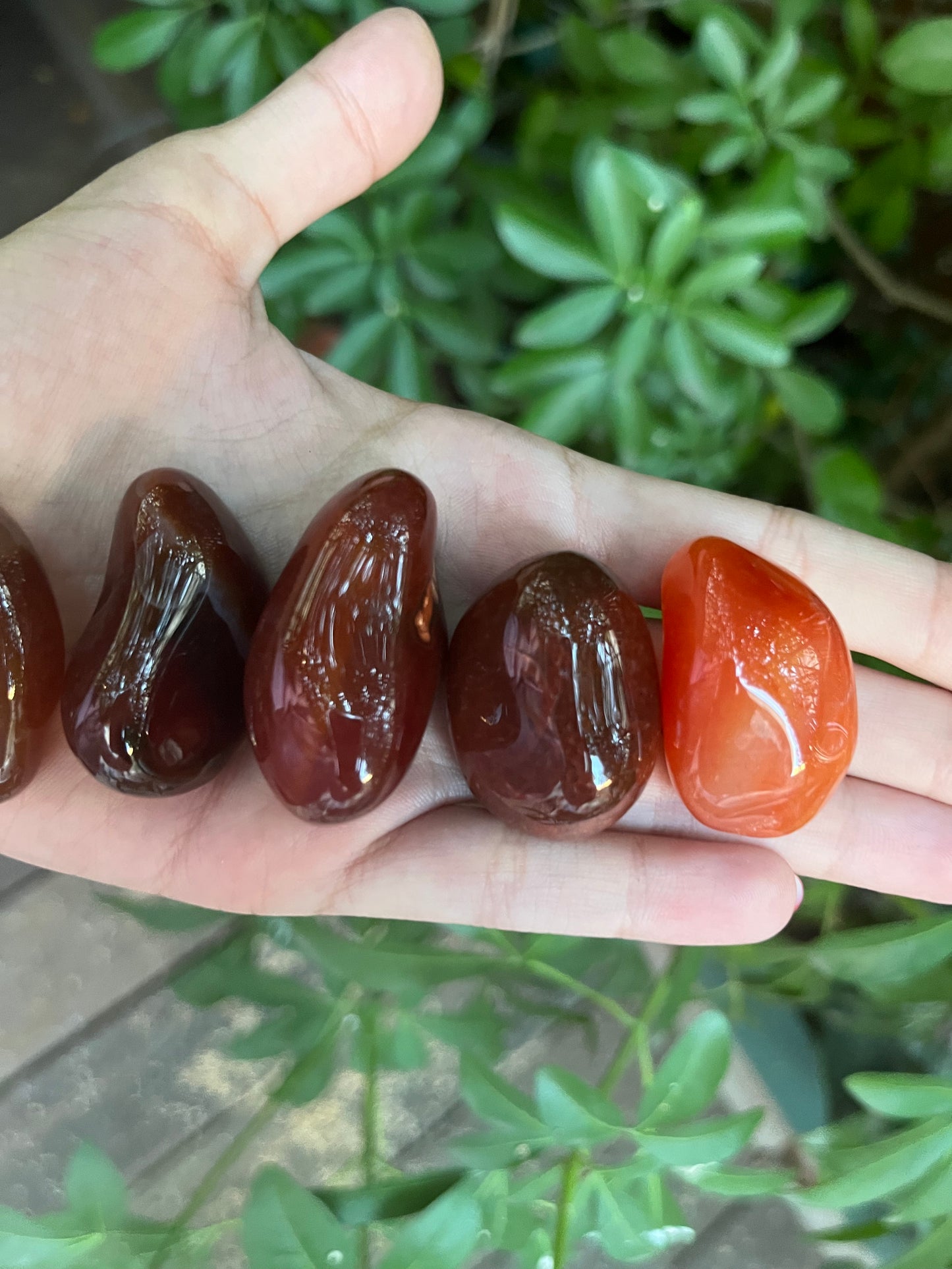 Large Carnelian Tumble