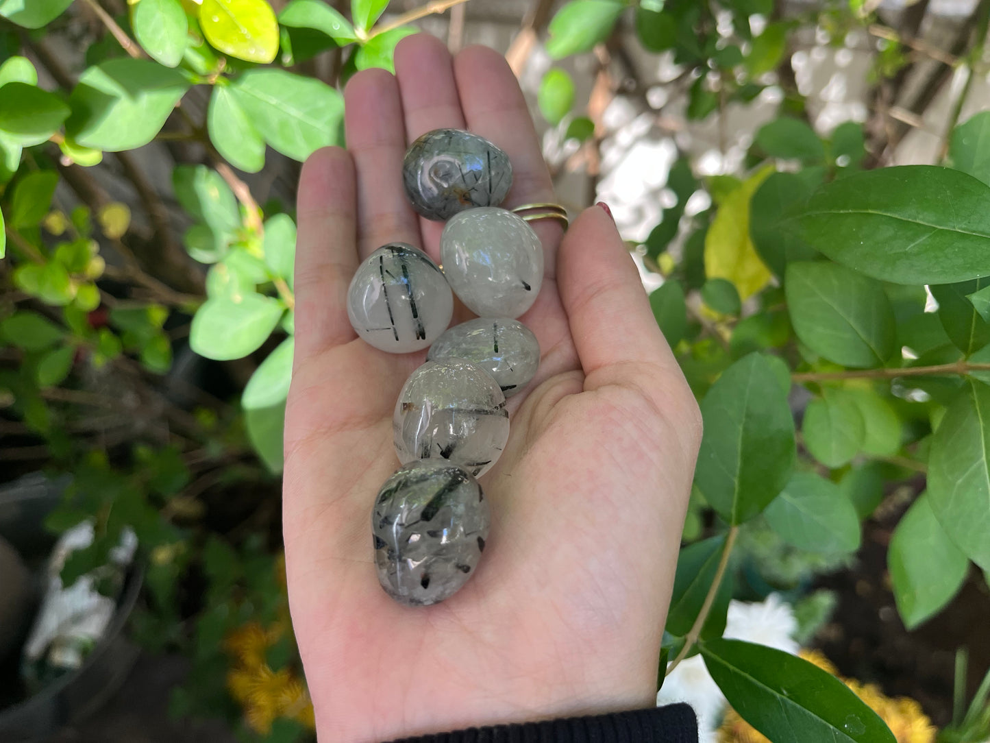 AA Black Tourmaline In Quartz  Tumble