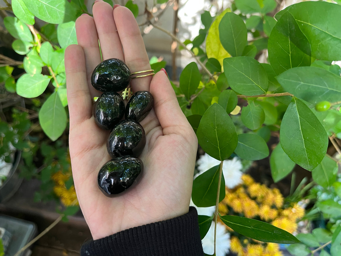 AA Schorl " Black Tourmaline" Tumble