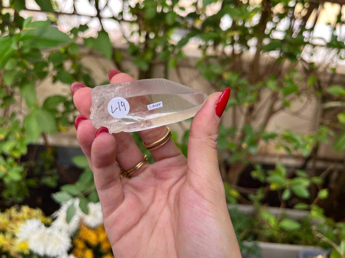 Raw Lemurian Quartz