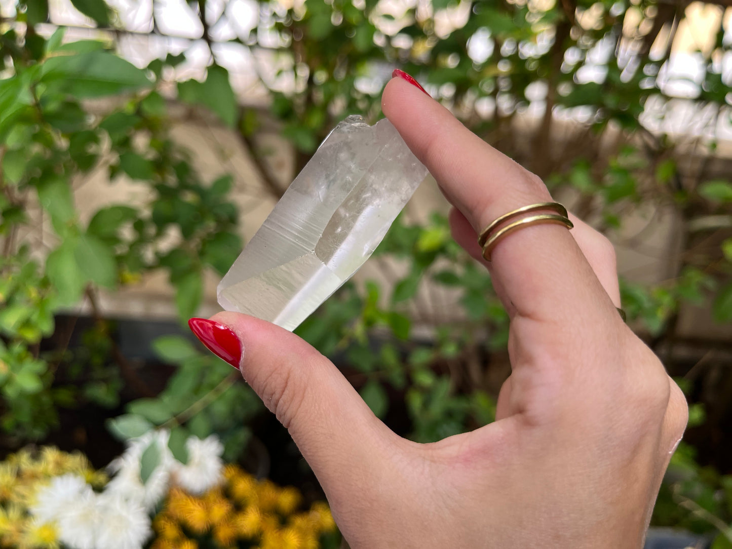 Raw Lemurian Quartz