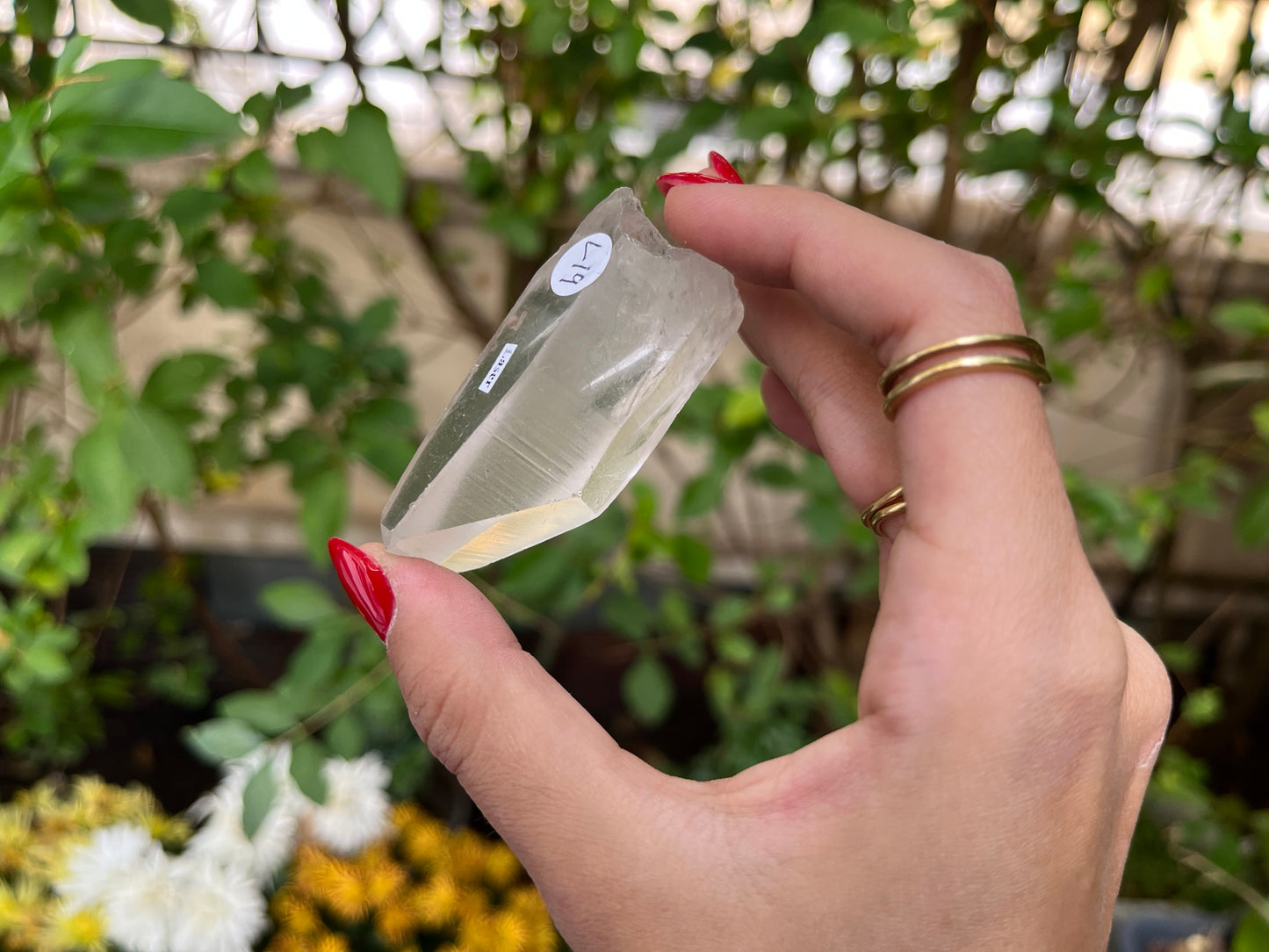 Raw Lemurian Quartz