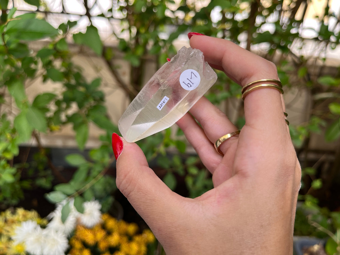 Raw Lemurian Quartz