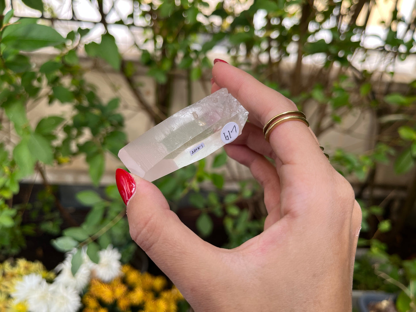 Raw Lemurian Quartz