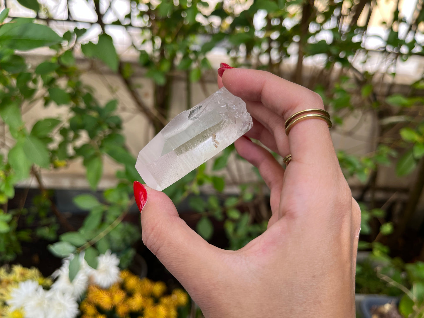 Raw Lemurian Quartz