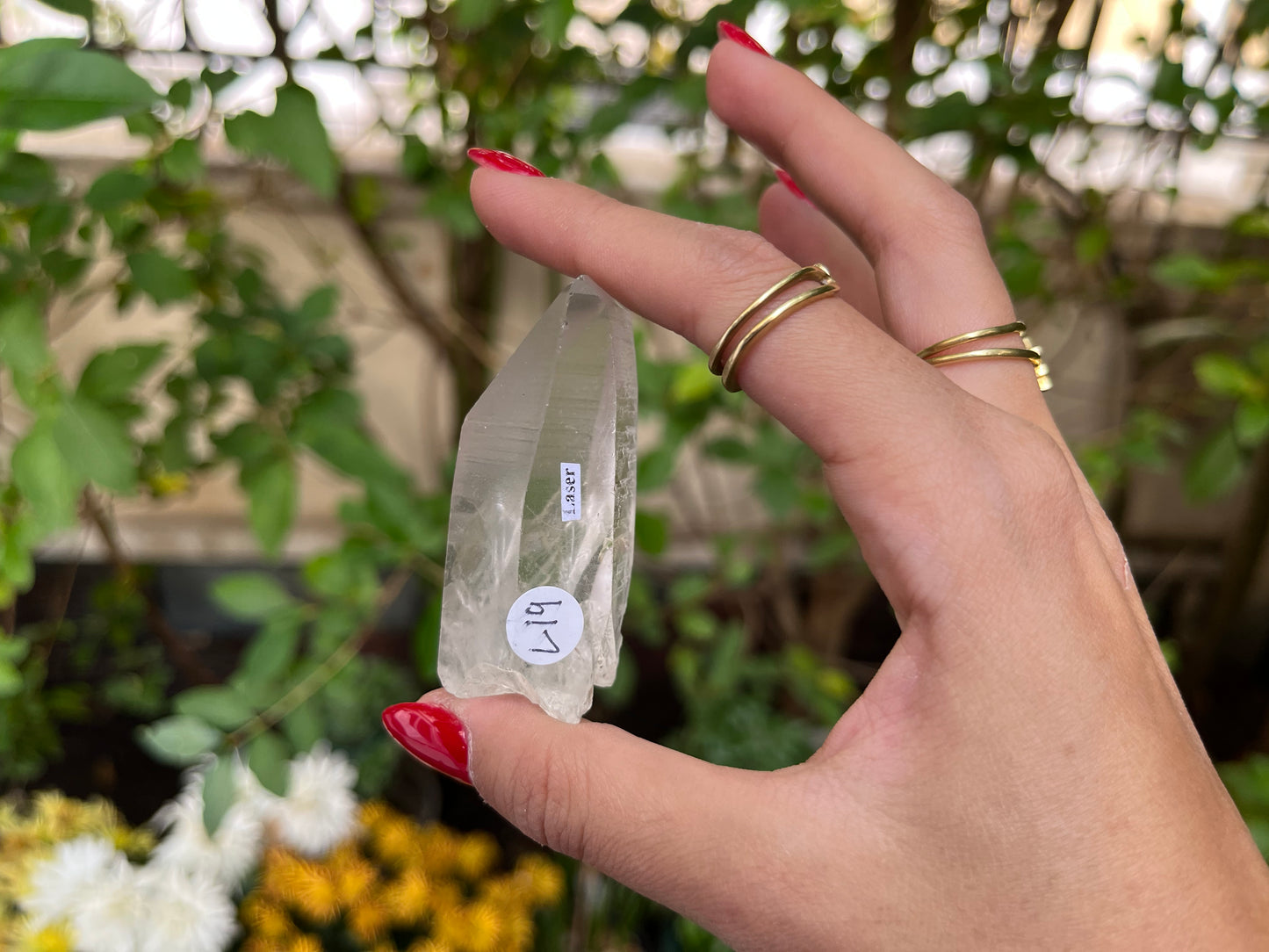 Raw Lemurian Quartz