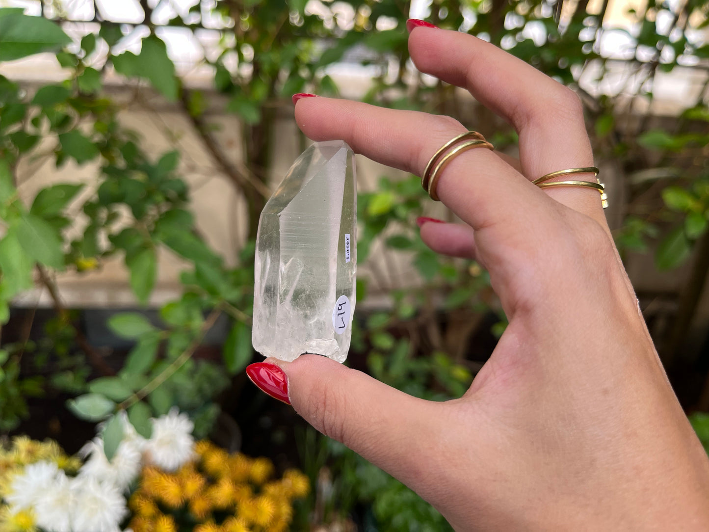 Raw Lemurian Quartz