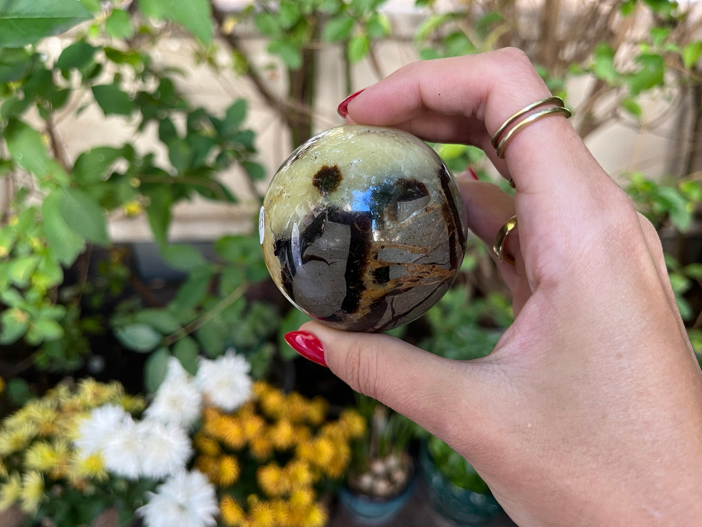 Septaria Sphere
