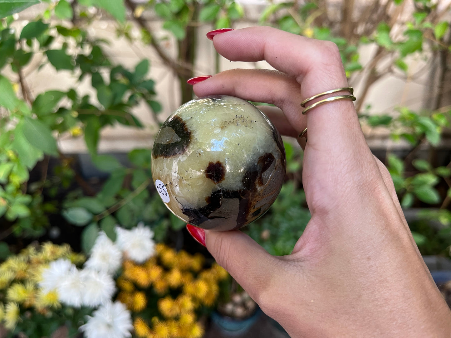 Septaria Sphere