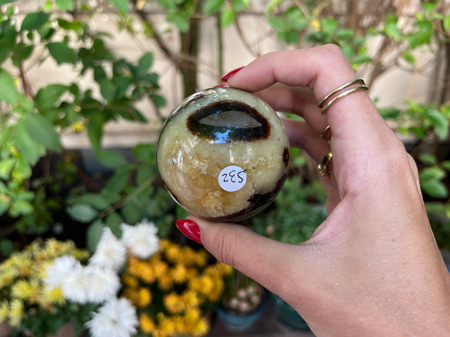 Septaria Sphere