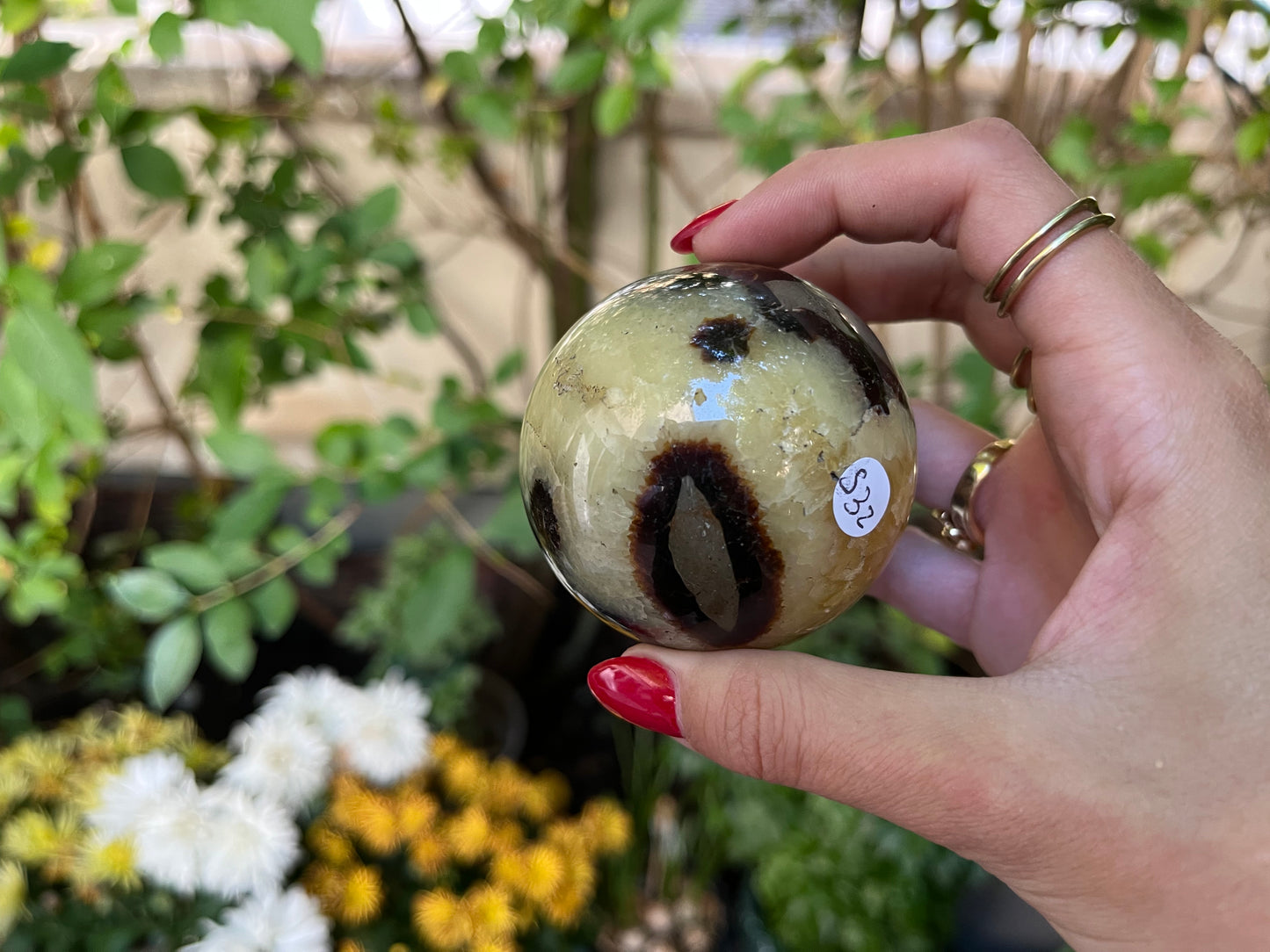 Septaria Sphere