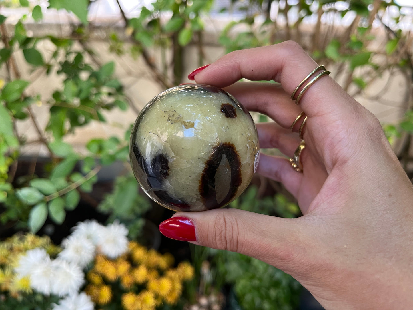 Septaria Sphere