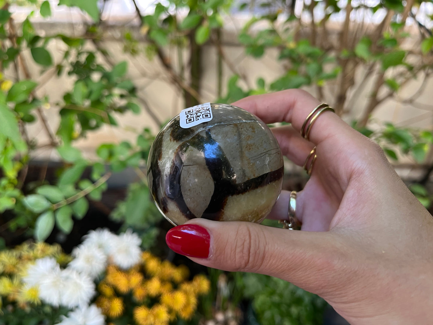 Septaria Sphere