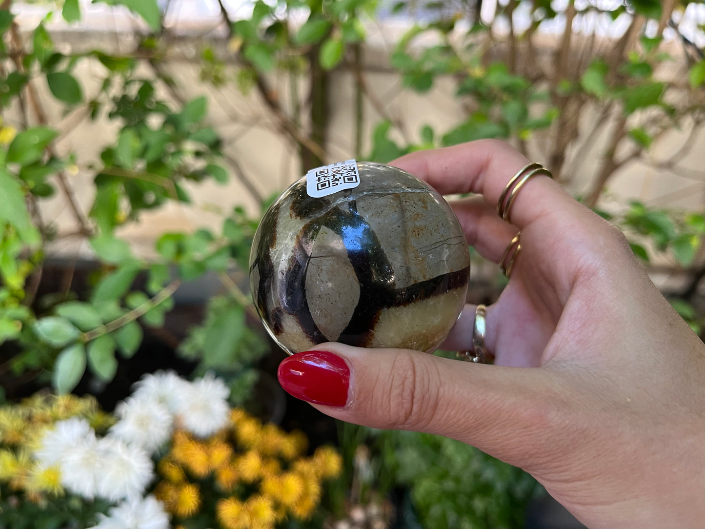 Septaria Sphere