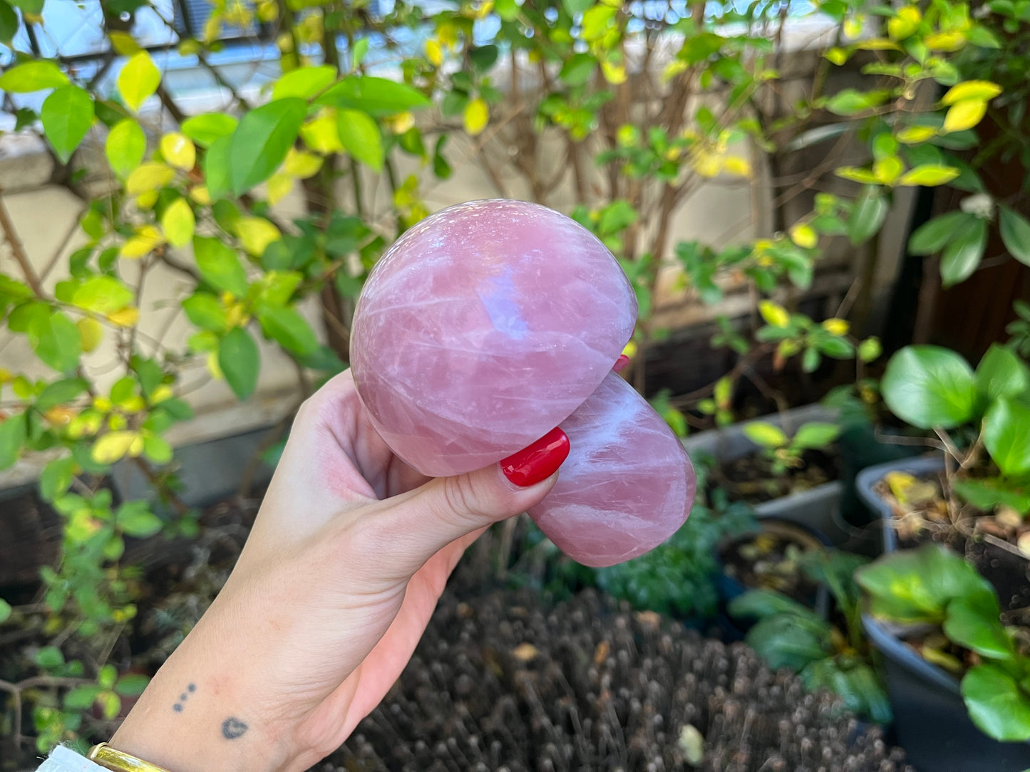 AA Rose Quartz Mushroom Carving