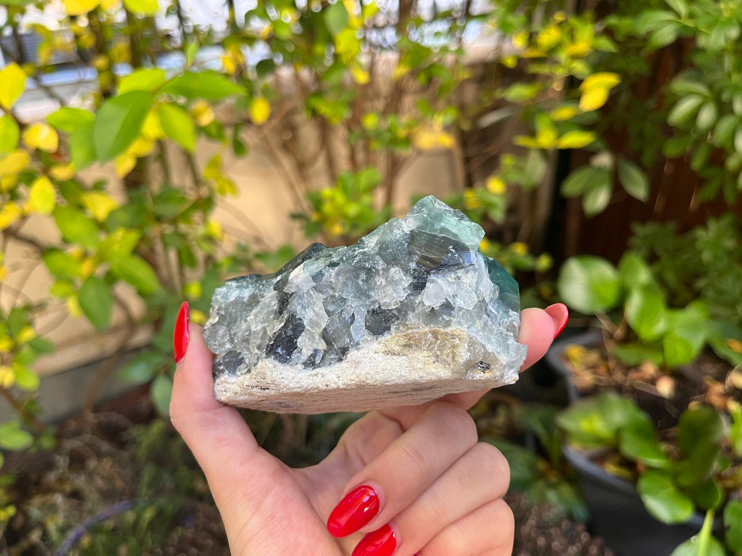 AA Green Fluorite Cluster