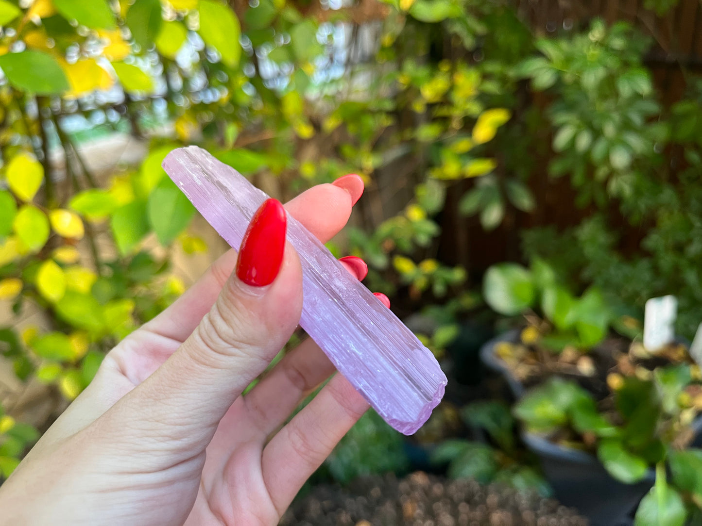 AAA Raw Kunzite