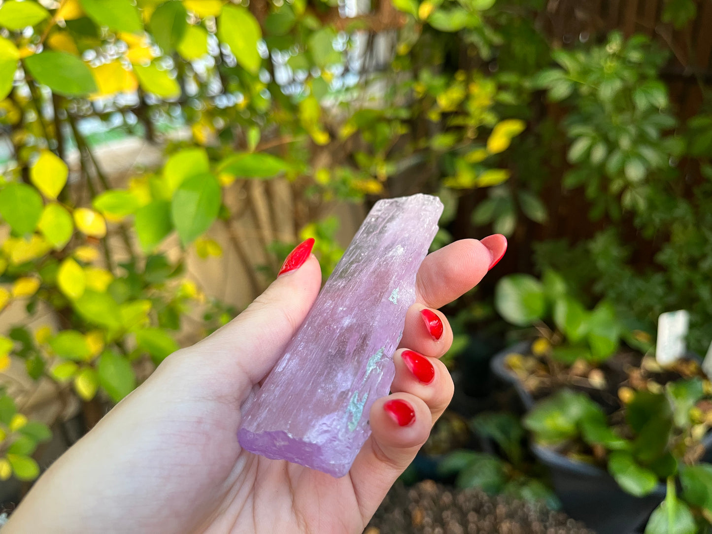 AAA Raw Kunzite