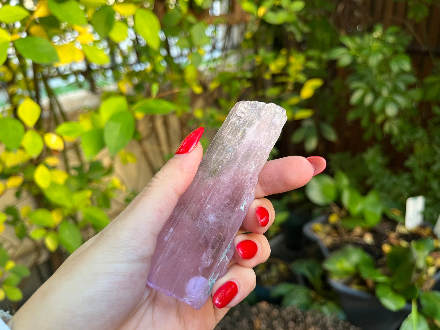 AAA Raw Kunzite