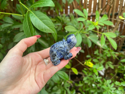 Sodalite Turtle Carving