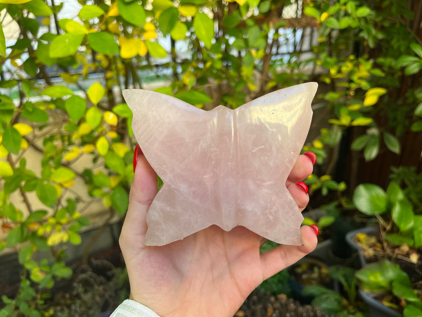 A+ Rose Quartz Butterfly Carving