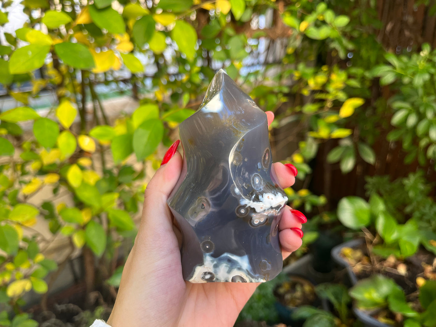 Orca Agate Flame Carving
